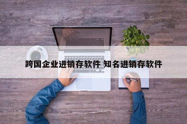 跨国企业进销存软件 知名进销存软件