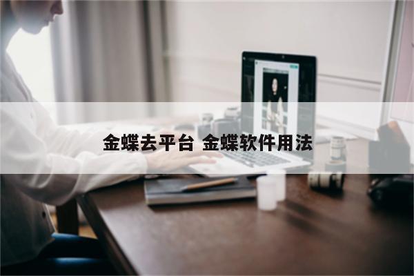 金蝶去平台 金蝶软件用法