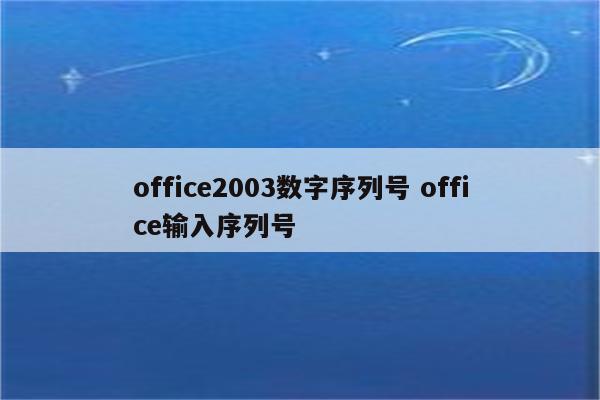 office2003数字序列号 office输入序列号