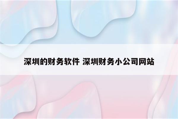 深圳的财务软件 深圳财务小公司网站