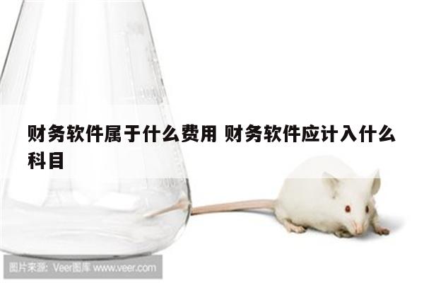 财务软件属于什么费用 财务软件应计入什么科目