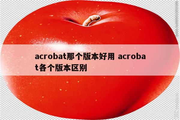 acrobat那个版本好用 acrobat各个版本区别