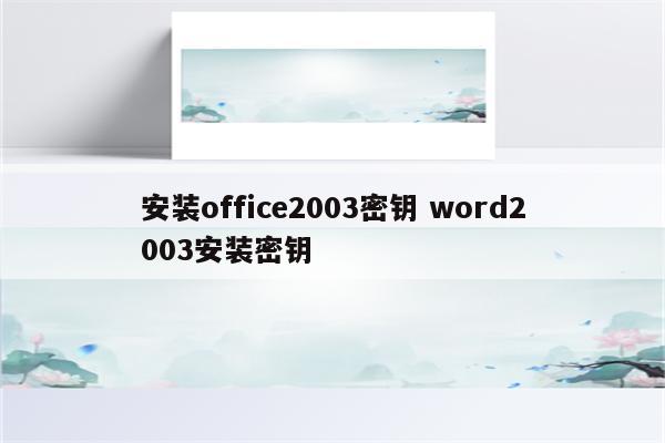 安装office2003密钥 word2003安装密钥