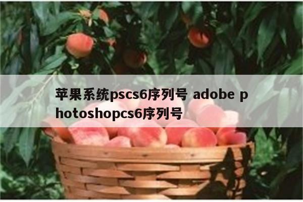 苹果系统pscs6序列号 adobe photoshopcs6序列号