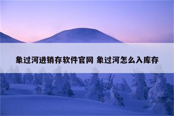 象过河进销存软件官网 象过河怎么入库存
