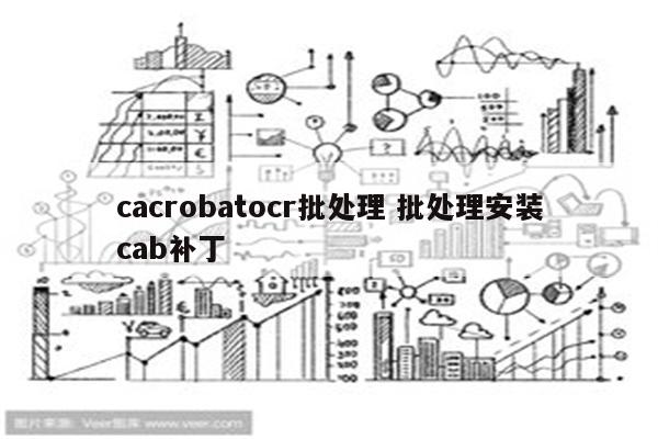 cacrobatocr批处理 批处理安装cab补丁