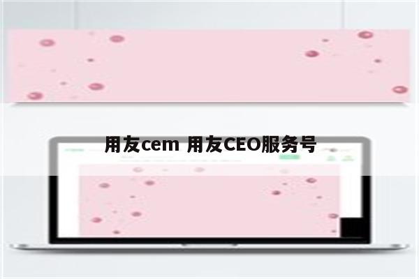 用友cem 用友CEO服务号