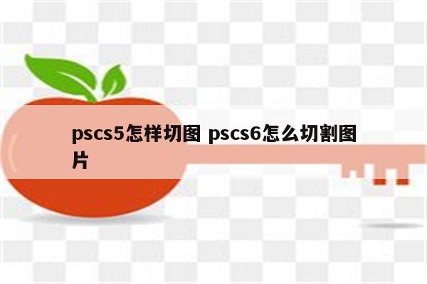 pscs5怎样切图 pscs6怎么切割图片