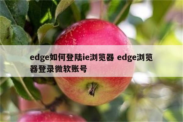 edge如何登陆ie浏览器 edge浏览器登录微软账号