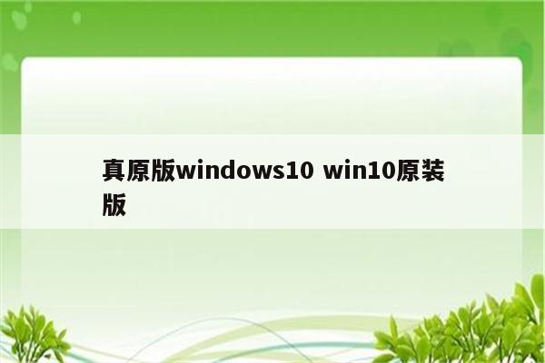 真原版windows10 win10原装版