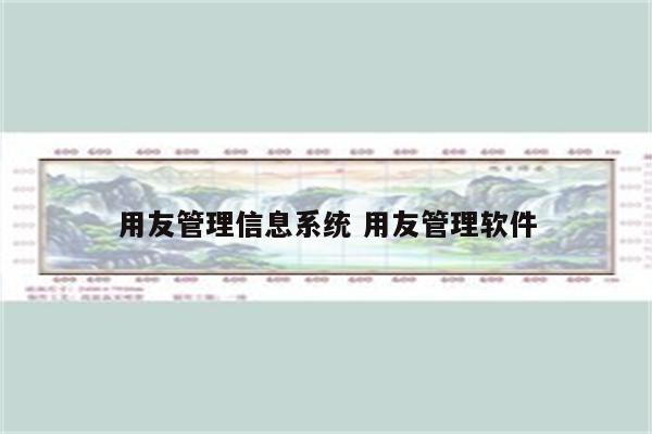 用友管理信息系统 用友管理软件