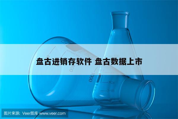 盘古进销存软件 盘古数据上市