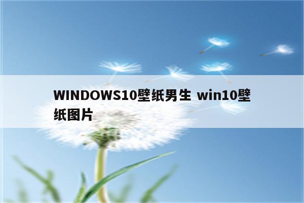 WINDOWS10壁纸男生 win10壁纸图片