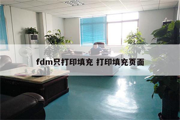 fdm只打印填充 打印填充页面