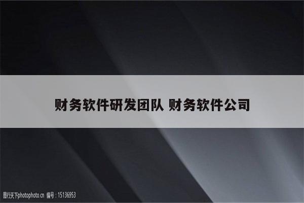 财务软件研发团队 财务软件公司