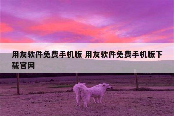 用友软件免费手机版 用友软件免费手机版下载官网