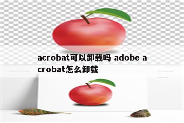 acrobat可以卸载吗 adobe acrobat怎么卸载