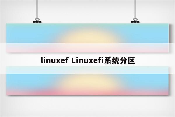 linuxef Linuxefi系统分区