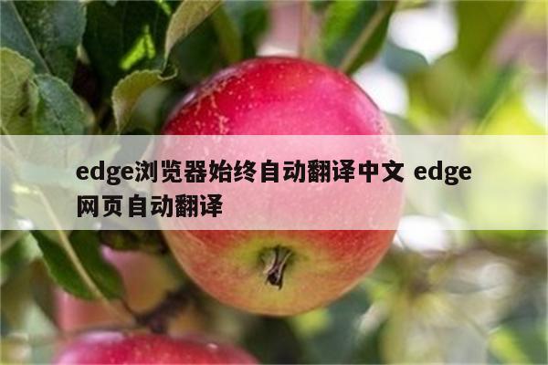 edge浏览器始终自动翻译中文 edge网页自动翻译