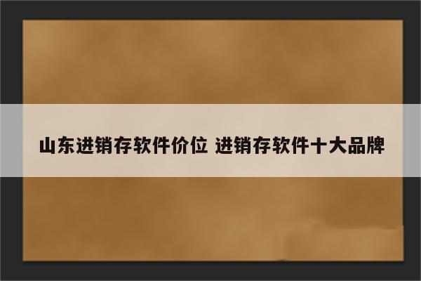 山东进销存软件价位 进销存软件十大品牌