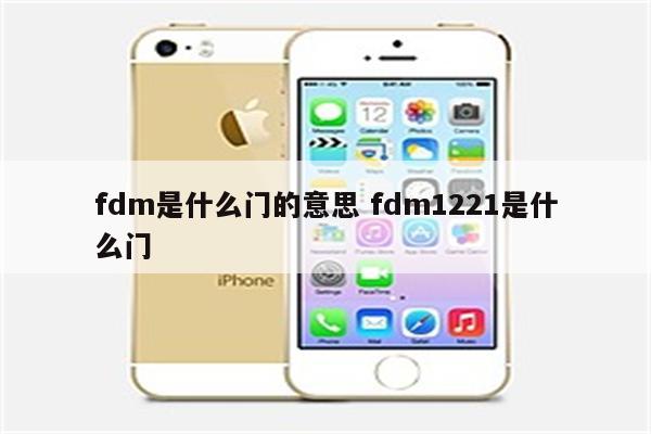 fdm是什么门的意思 fdm1221是什么门