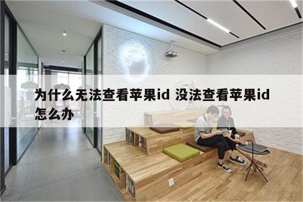 为什么无法查看苹果id 没法查看苹果id怎么办