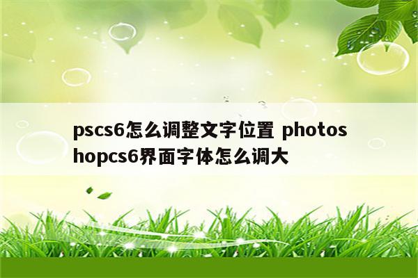 pscs6怎么调整文字位置 photoshopcs6界面字体怎么调大