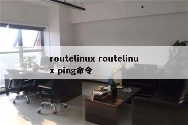 routelinux routelinux ping命令
