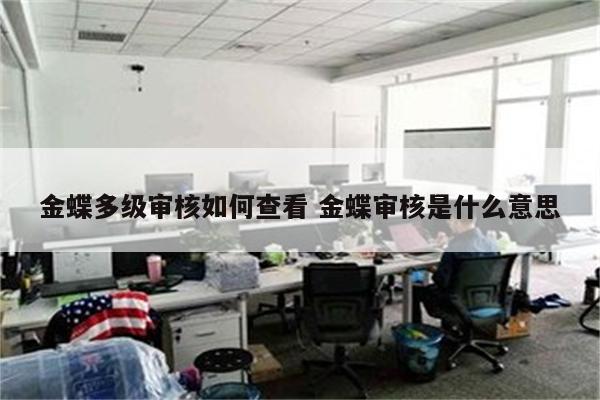 金蝶多级审核如何查看 金蝶审核是什么意思