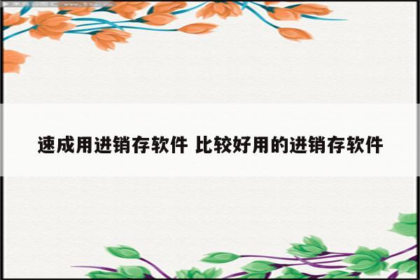 速成用进销存软件 比较好用的进销存软件