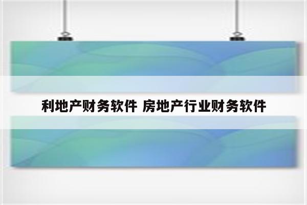 利地产财务软件 房地产行业财务软件