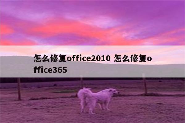 怎么修复office2010 怎么修复office365