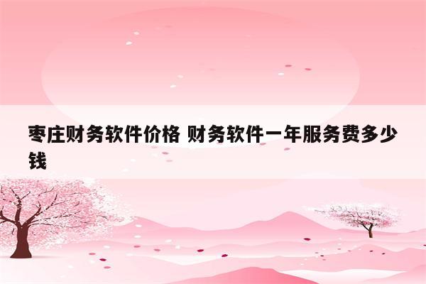 枣庄财务软件价格 财务软件一年服务费多少钱