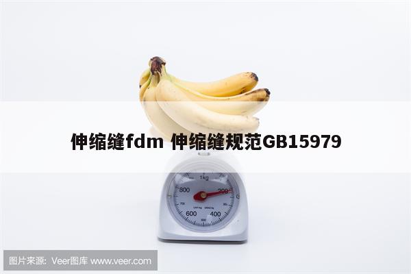 伸缩缝fdm 伸缩缝规范GB15979