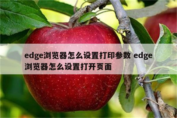 edge浏览器怎么设置打印参数 edge浏览器怎么设置打开页面