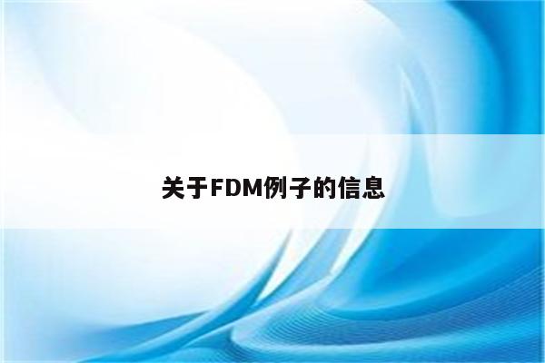 关于FDM例子的信息