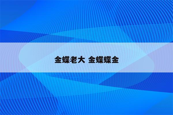 金蝶老大 金蝶蝶金