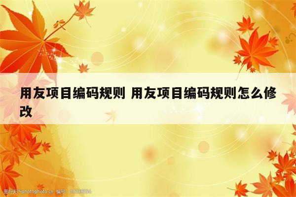 用友项目编码规则 用友项目编码规则怎么修改