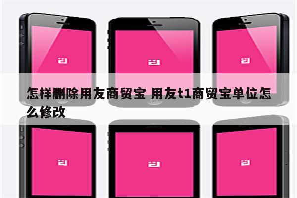 怎样删除用友商贸宝 用友t1商贸宝单位怎么修改