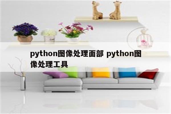 python图像处理面部 python图像处理工具