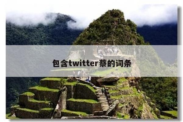包含twitter蔡的词条