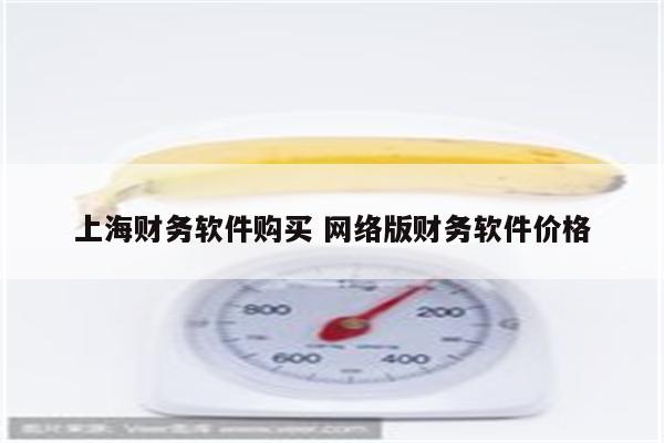 上海财务软件购买 网络版财务软件价格
