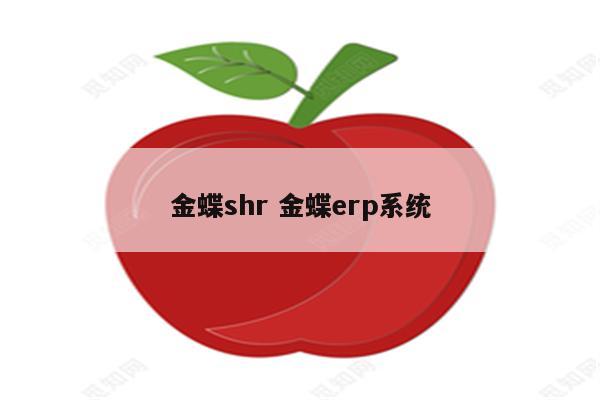 金蝶shr 金蝶erp系统
