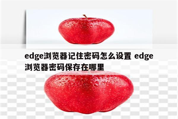 edge浏览器记住密码怎么设置 edge浏览器密码保存在哪里