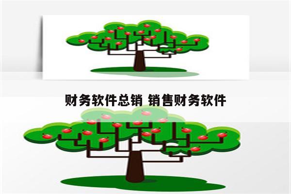 财务软件总销 销售财务软件