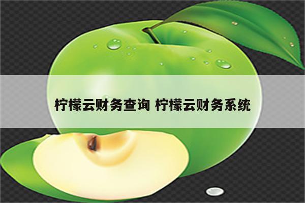 柠檬云财务查询 柠檬云财务系统