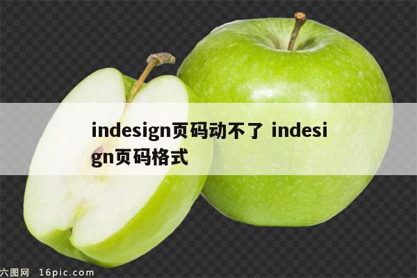 indesign页码动不了 indesign页码格式