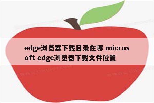 edge浏览器下载目录在哪 microsoft edge浏览器下载文件位置