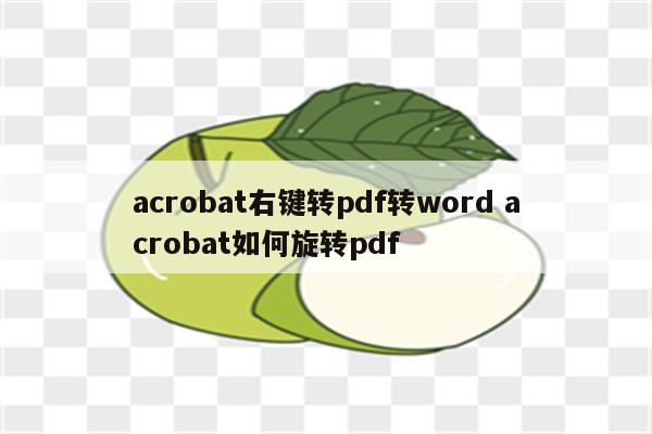 acrobat右键转pdf转word acrobat如何旋转pdf