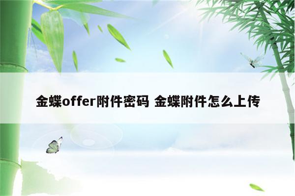 金蝶offer附件密码 金蝶附件怎么上传
